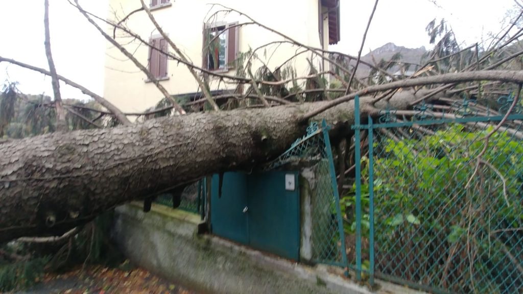 via padre dante ballabio albero caduto su recinzione casa per vento